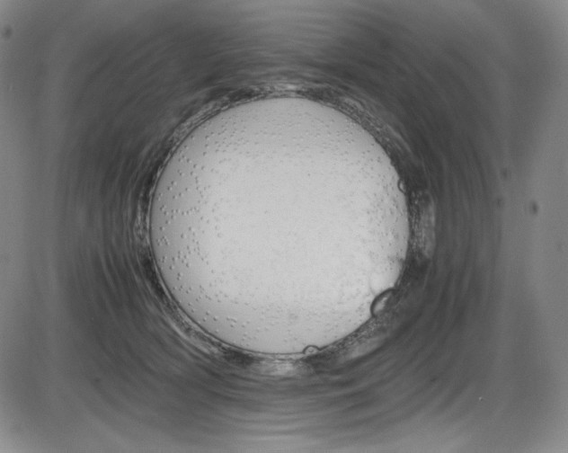 X0000086340418200703301002