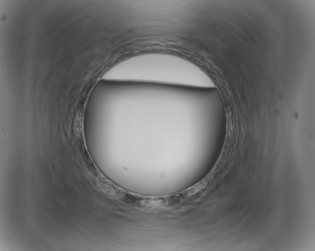 X0000086340419200703301002