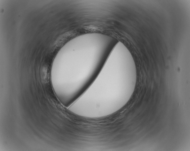 X0000086340420200703301002
