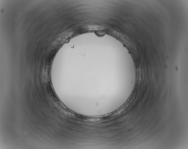 X0000086340422200703301002