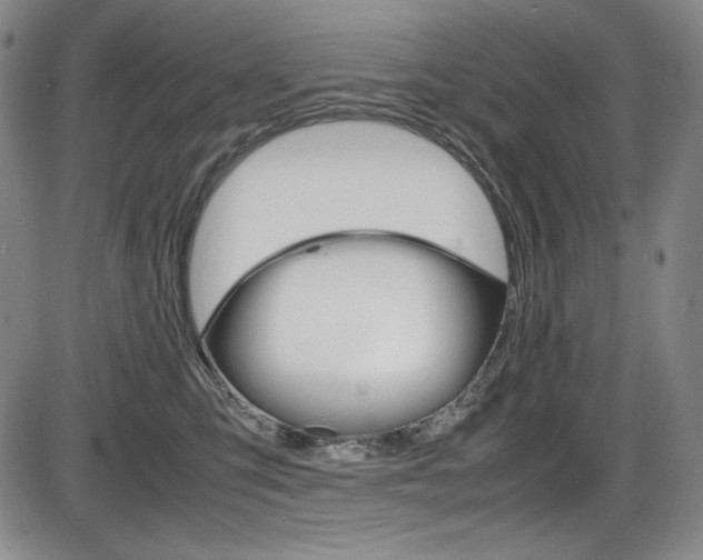 X0000086340423200703301002