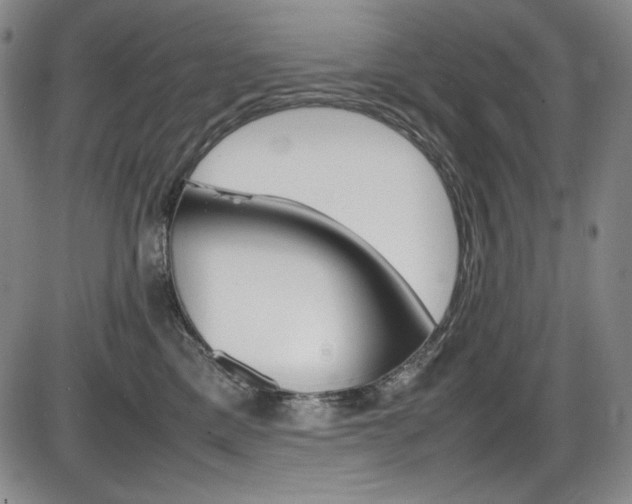 X0000086340425200703301002