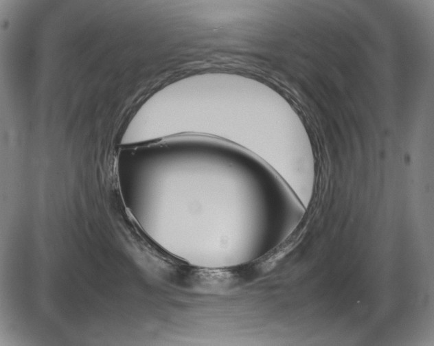 X0000086340429200703301001