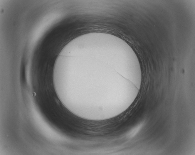X0000086340431200703301001