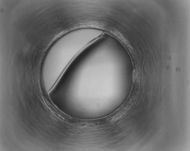 X0000086340434200703301001