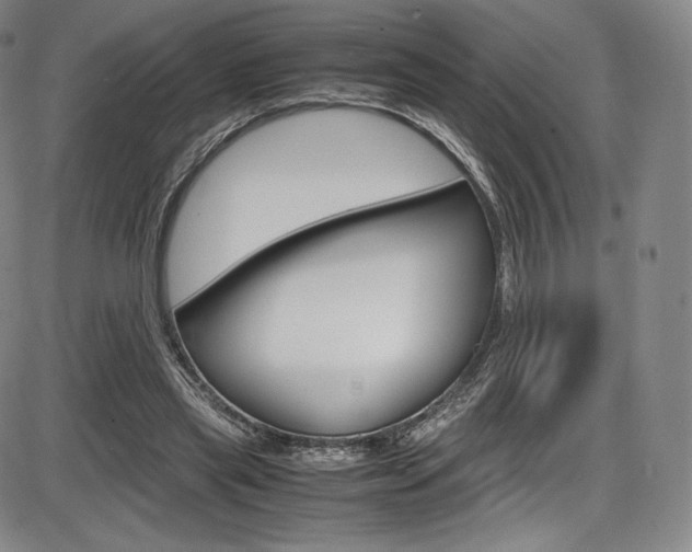 X0000086340445200703301001