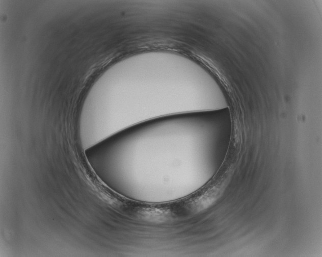 X0000086340453200703301001