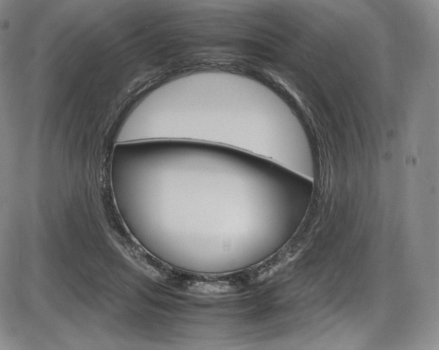 X0000086340455200703301001