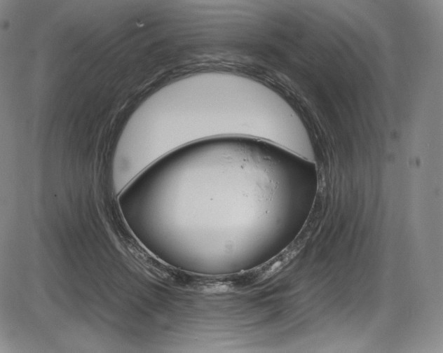 X0000086340456200703301001