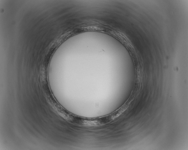 X0000086340457200703301001