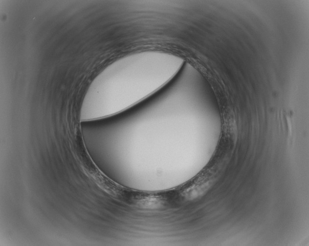 X0000086340460200703301001