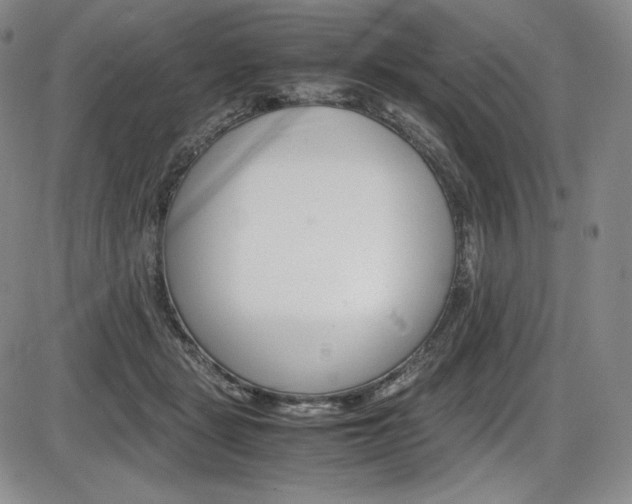 X0000086340461200703301001