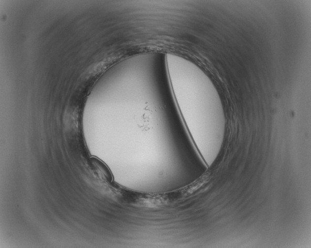 X0000086340466200703301001