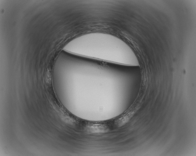 X0000086340467200703301001