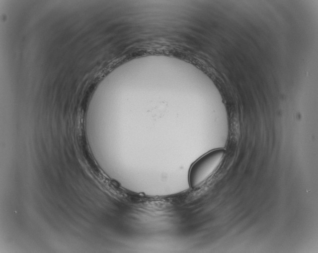X0000086340468200703301001