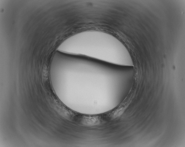 X0000086340469200703301001