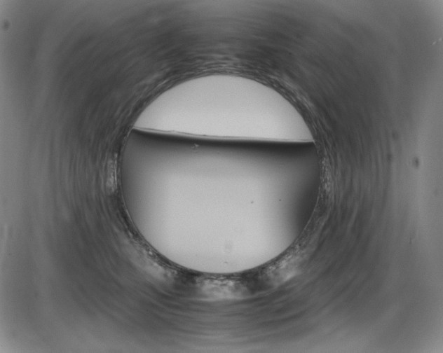 X0000086340471200703301001