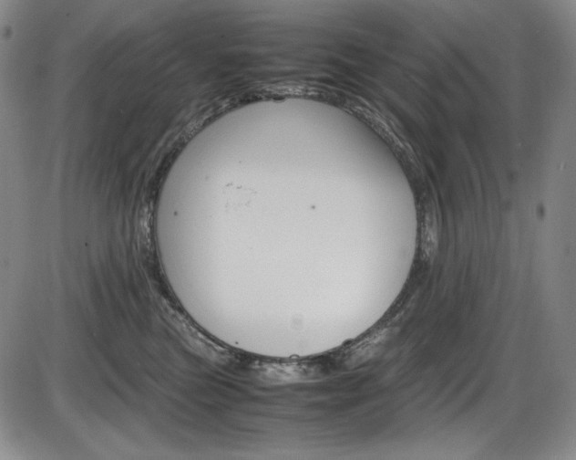 X0000086340473200703301001