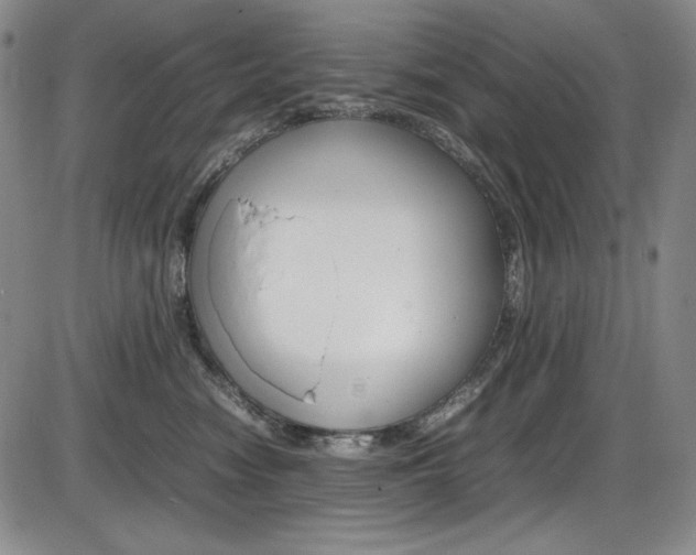 X0000086340474200703301001