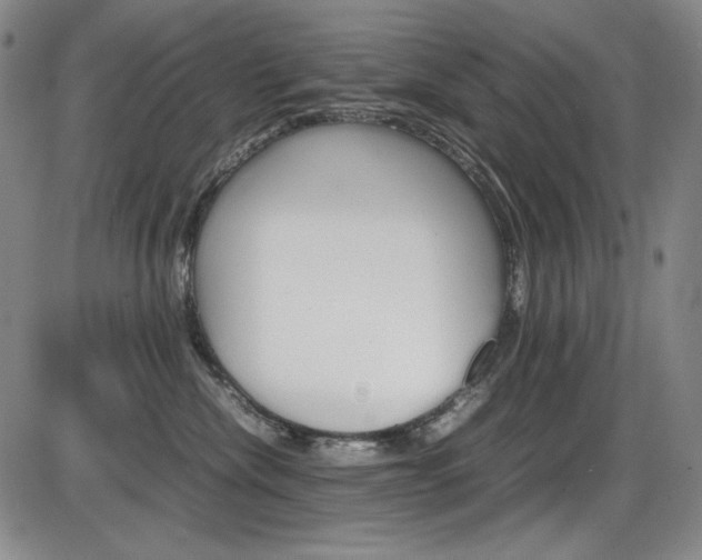 X0000086340476200703301001