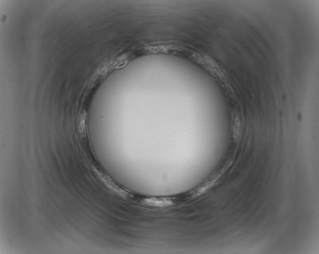 X0000086340477200703301001