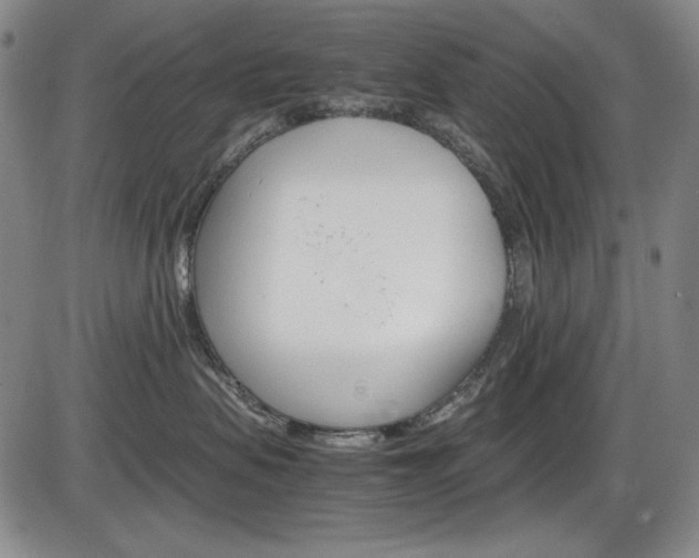 X0000086340479200703301001
