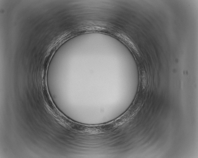 X0000086340490200703301000