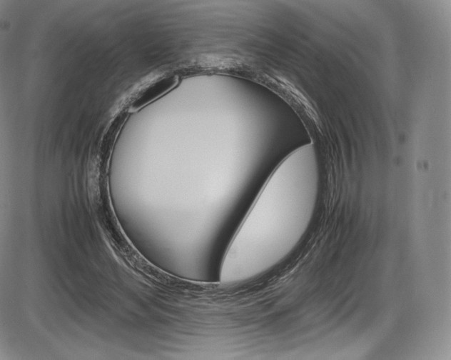 X0000086340492200703301000