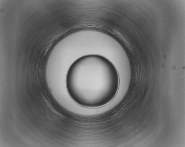 X0000086340500200703301000