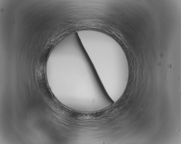 X0000086340503200703301000