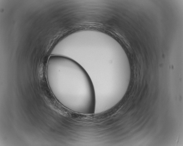 X0000086340504200703301000