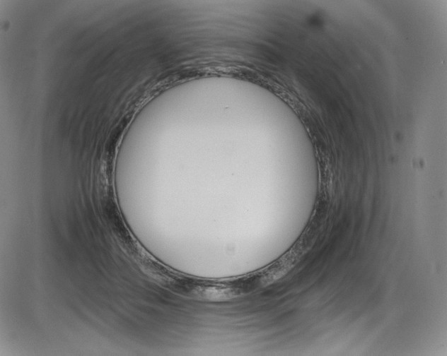 X0000086340506200703301000