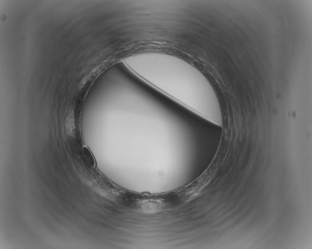 X0000086340508200703301000