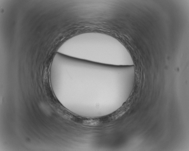 X0000086340511200703301000
