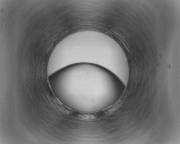 X0000086340512200703301000