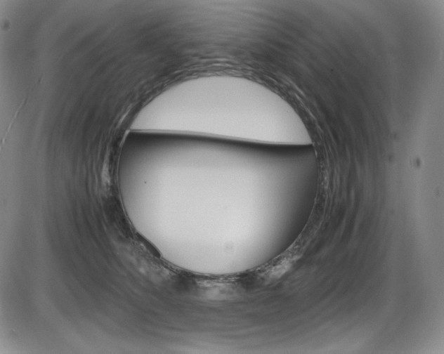 X0000086340516200703301000