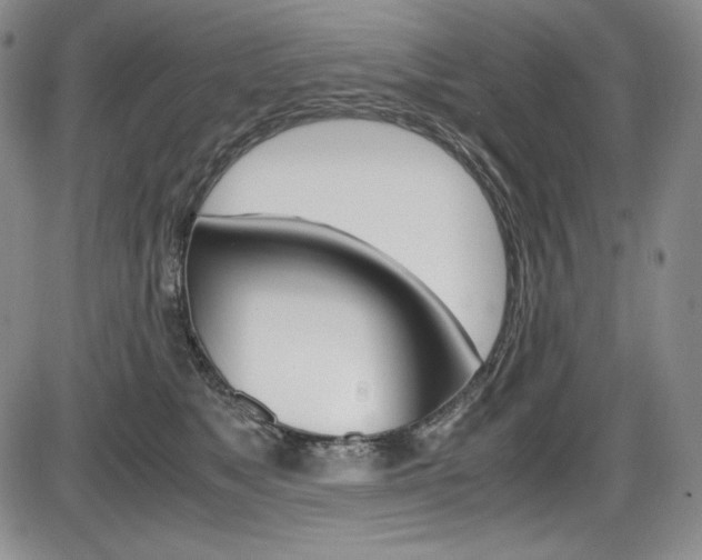 X0000086340517200703301000