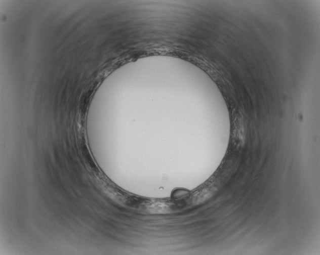 X0000086340518200703301000