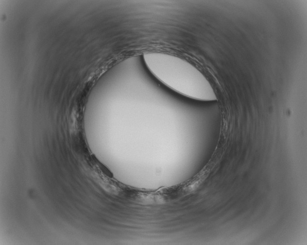 X0000086340520200703301000