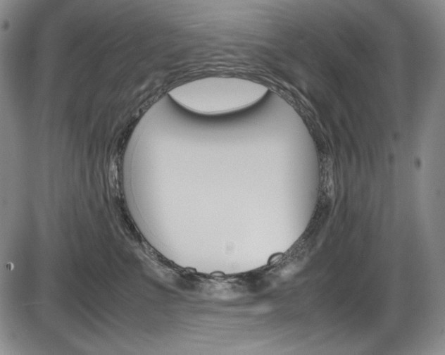 X0000086340523200703301000