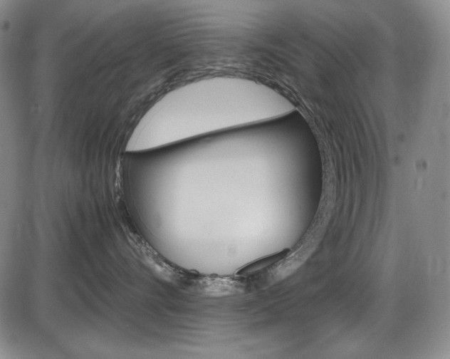 X0000086340528200703301000