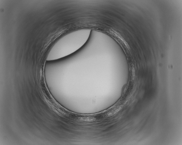 X0000086340541200703300959