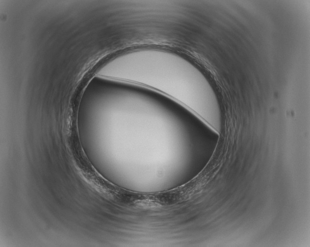 X0000086340544200703300959