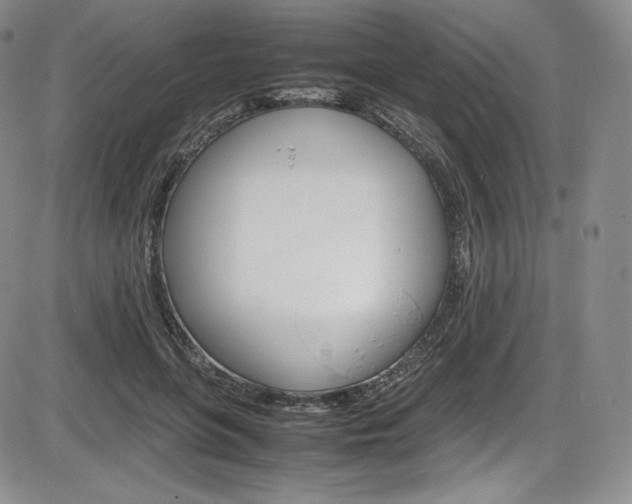 X0000086340551200703300959