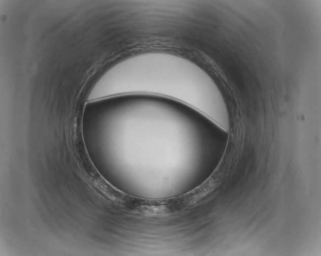 X0000086340552200703300959