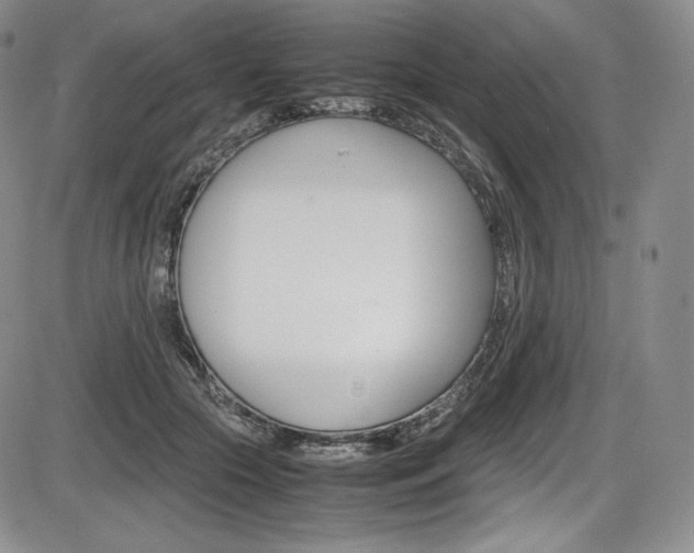 X0000086340553200703300959