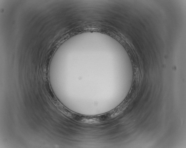 X0000086340557200703300959