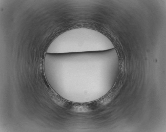 X0000086340561200703300959