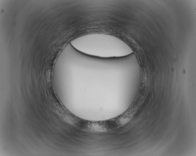X0000086340565200703301000