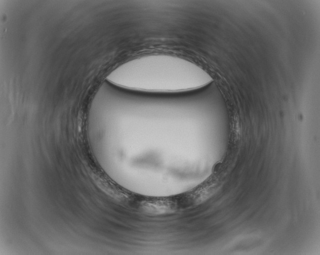 X0000086340567200703301000